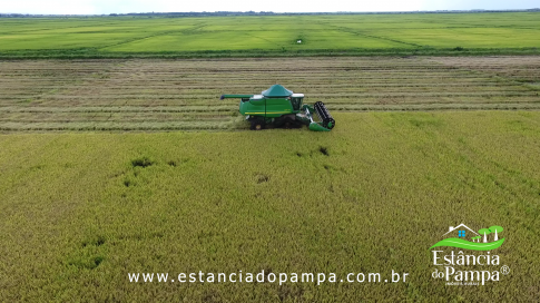 DOS EÓLICOS VIRA P FAZENDA_Moment.00_02_02_06.Quadro056_edb5abbea2c16f5ea2a3d4baeb5c613c504886d0.png